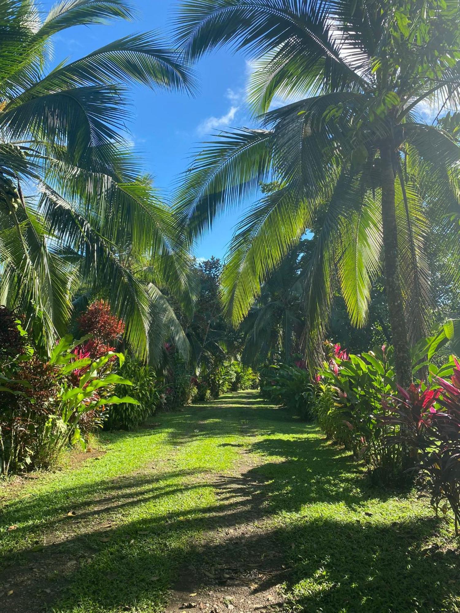 Finca La Paz - Sarapiqui Puerto Viejo de Sarapiqui المظهر الخارجي الصورة